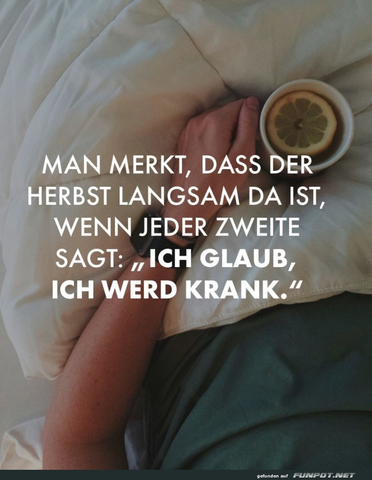 Herbst-Erkältung: Jetzt geht's los!
