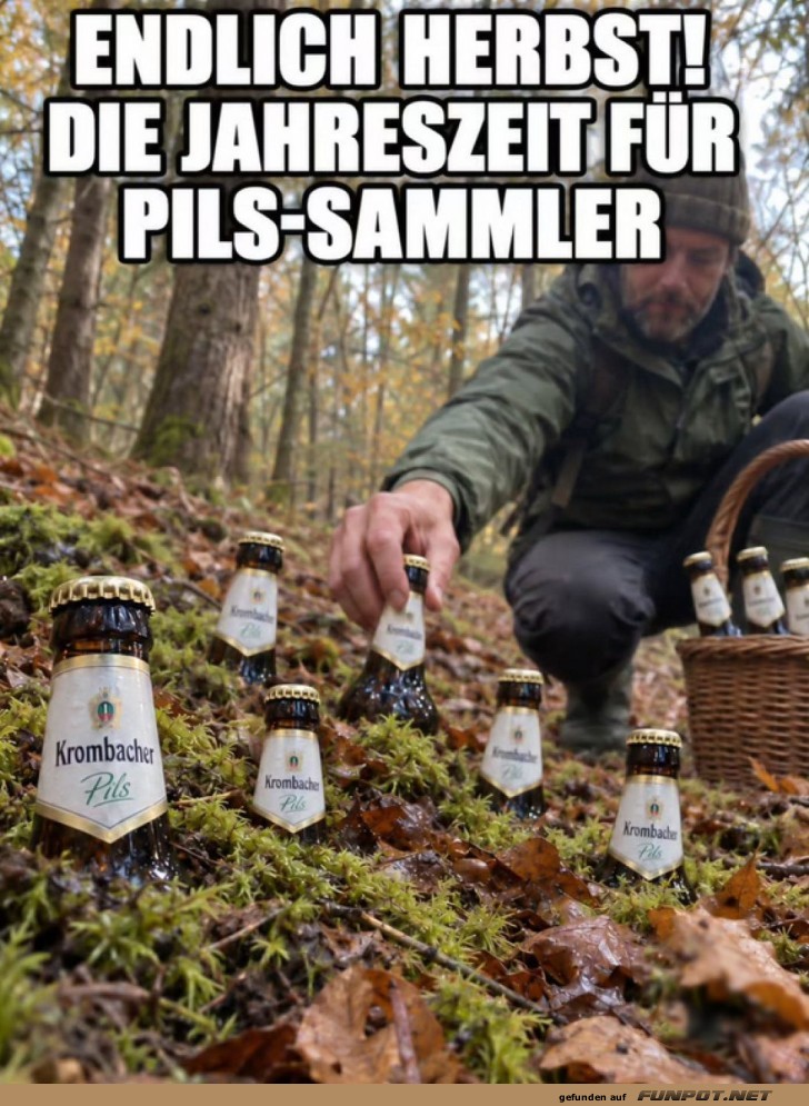 Herbstliche Pilzsuche mal anders!