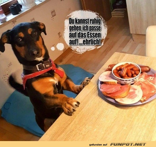 Ich passe auf