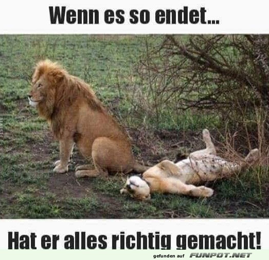 Gut gemacht