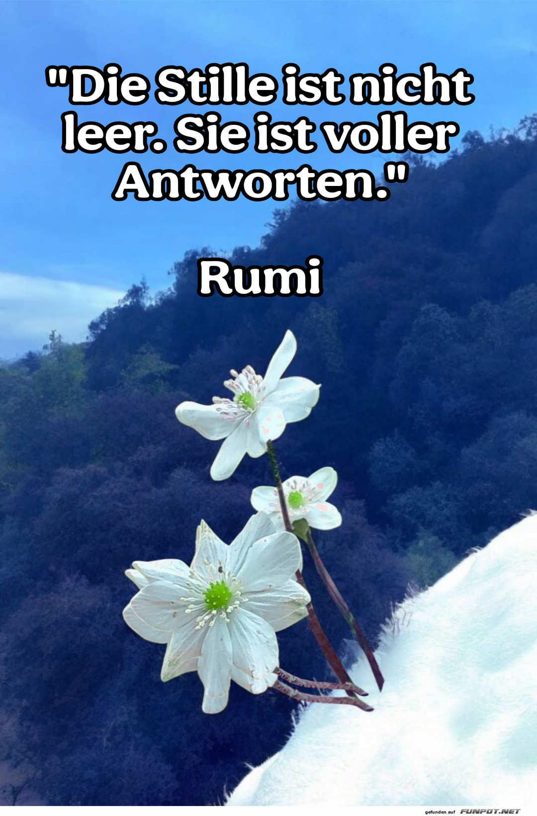 die stille ist nicht leer