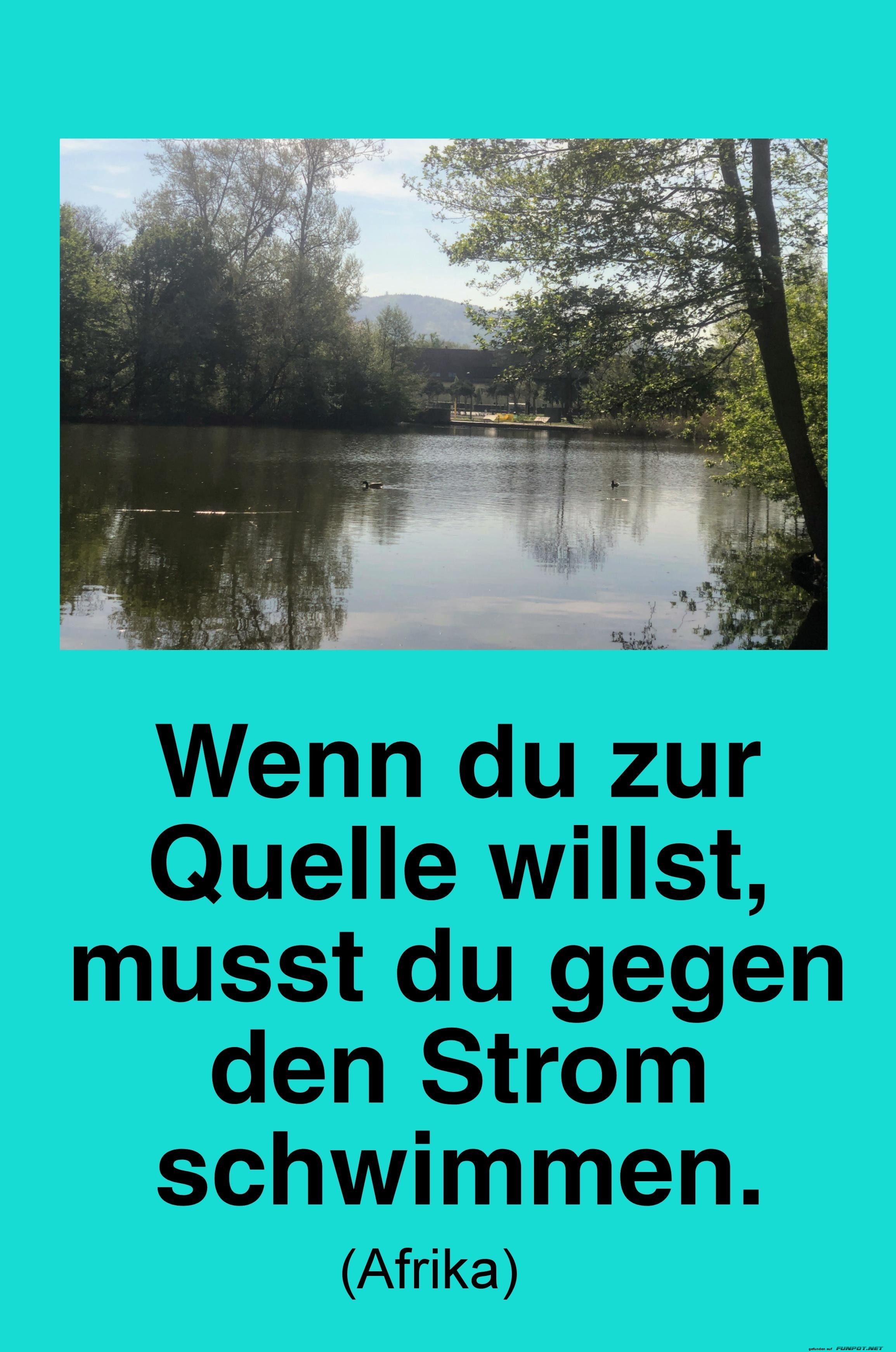 wenn du zur quelle willst