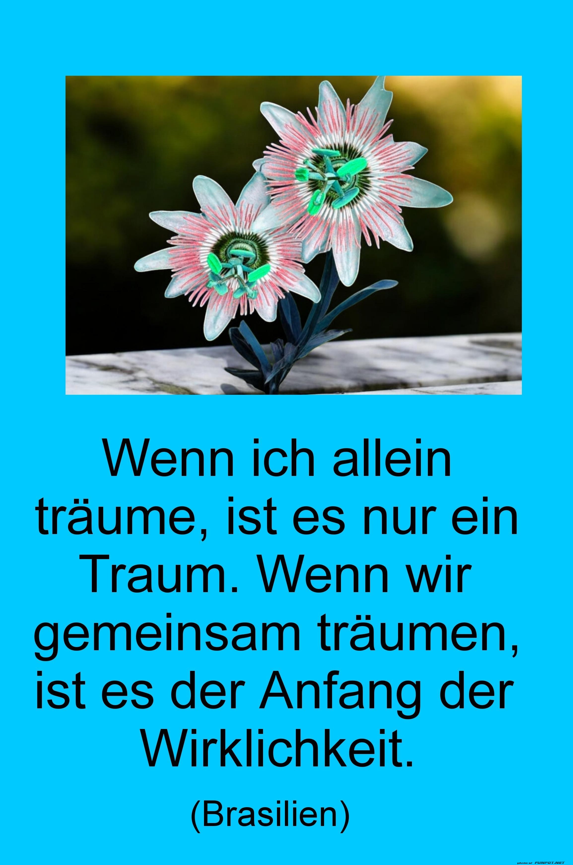 wenn ich allein tr�ume