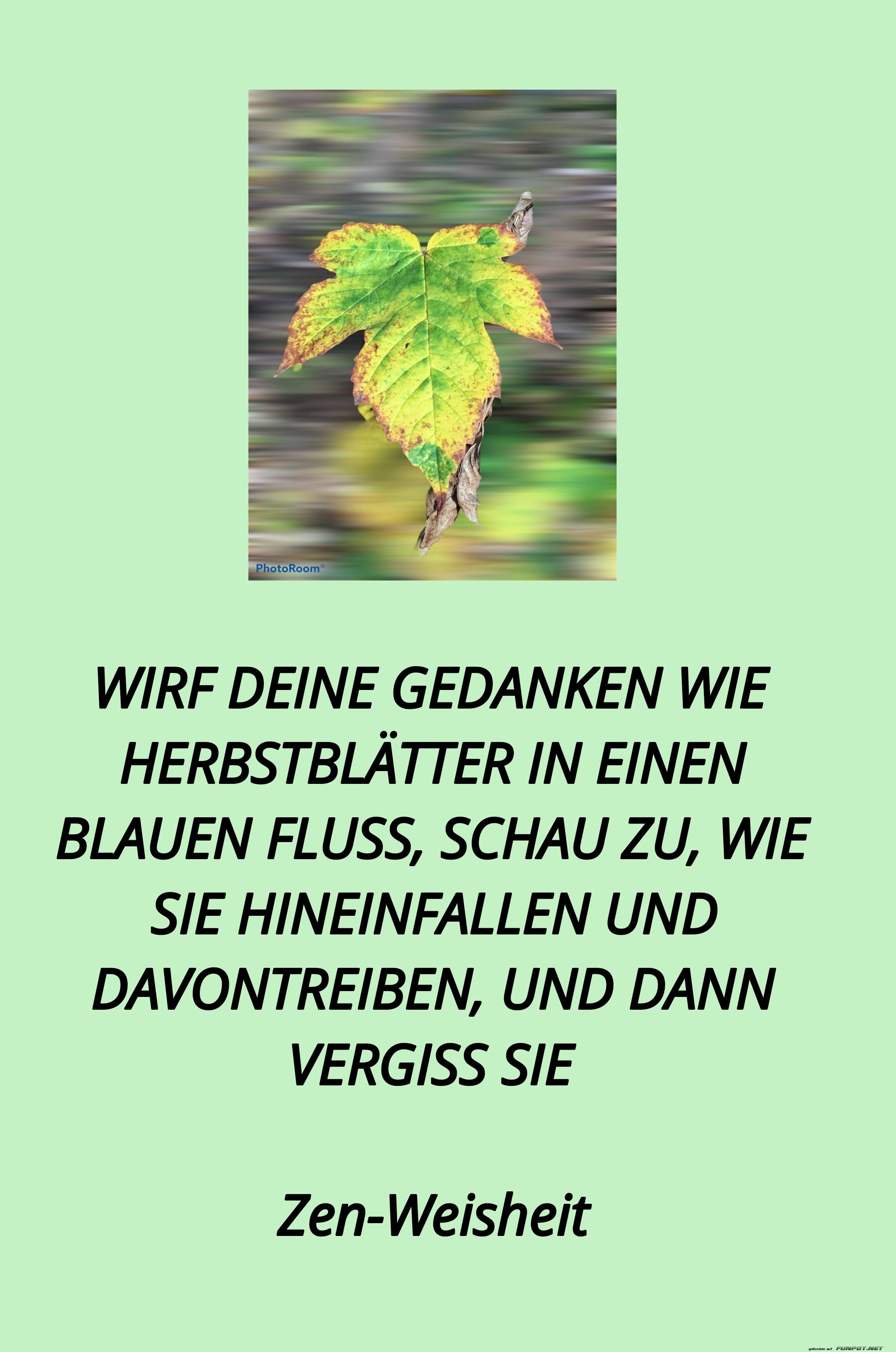 Herbstlaubgedanken im Fluss des Lebens