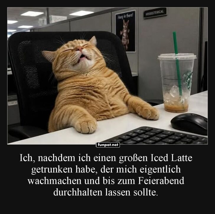 Kater-Koffein-Kollaps im Büro Kater-Koffein-Kollaps im Büro