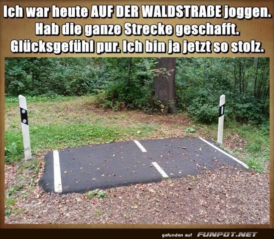 ich habe die ganze Stra�e geschafft