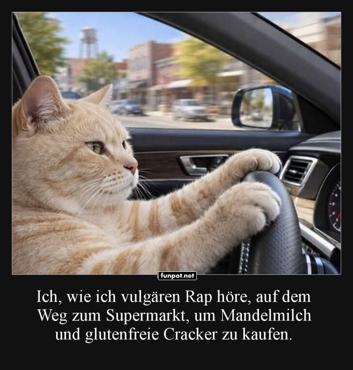Cool Cat auf Roadtrip-Abenteuer Cool Cat auf Roadtrip-Abenteuer
