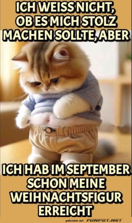 Katzen-Mode-Frühstart!