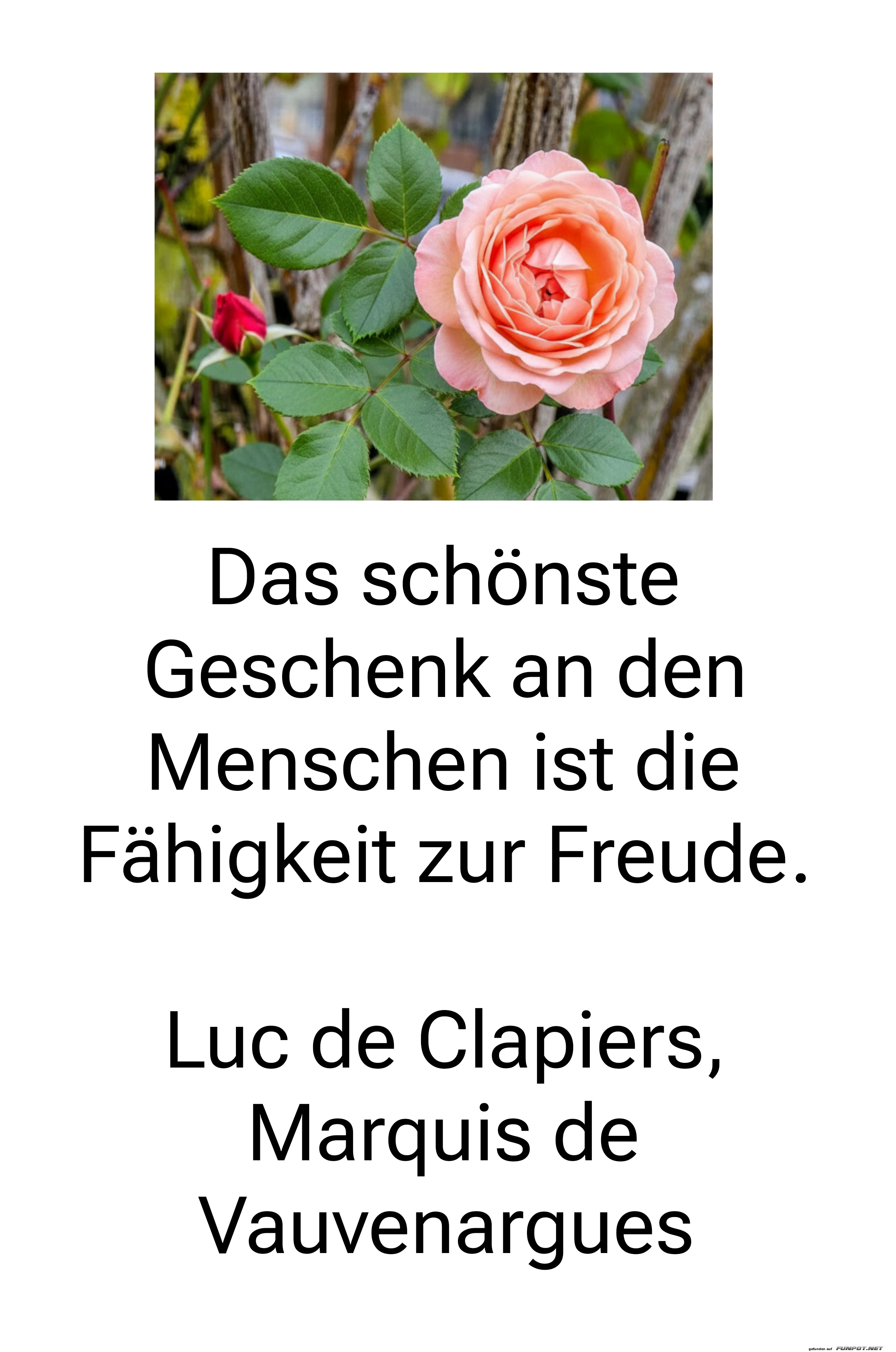 das schönste geschenk