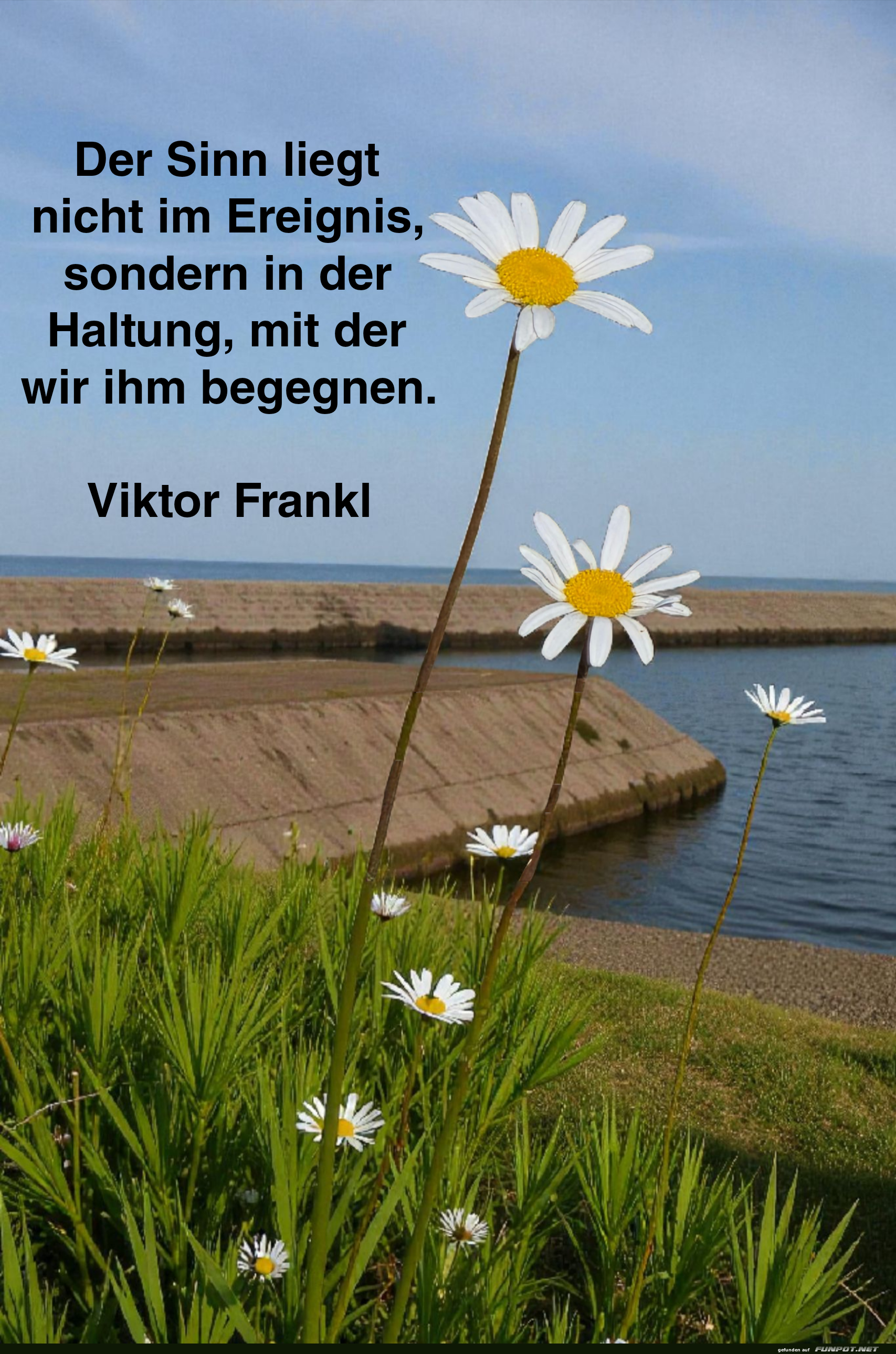 der sinn liegt nicht