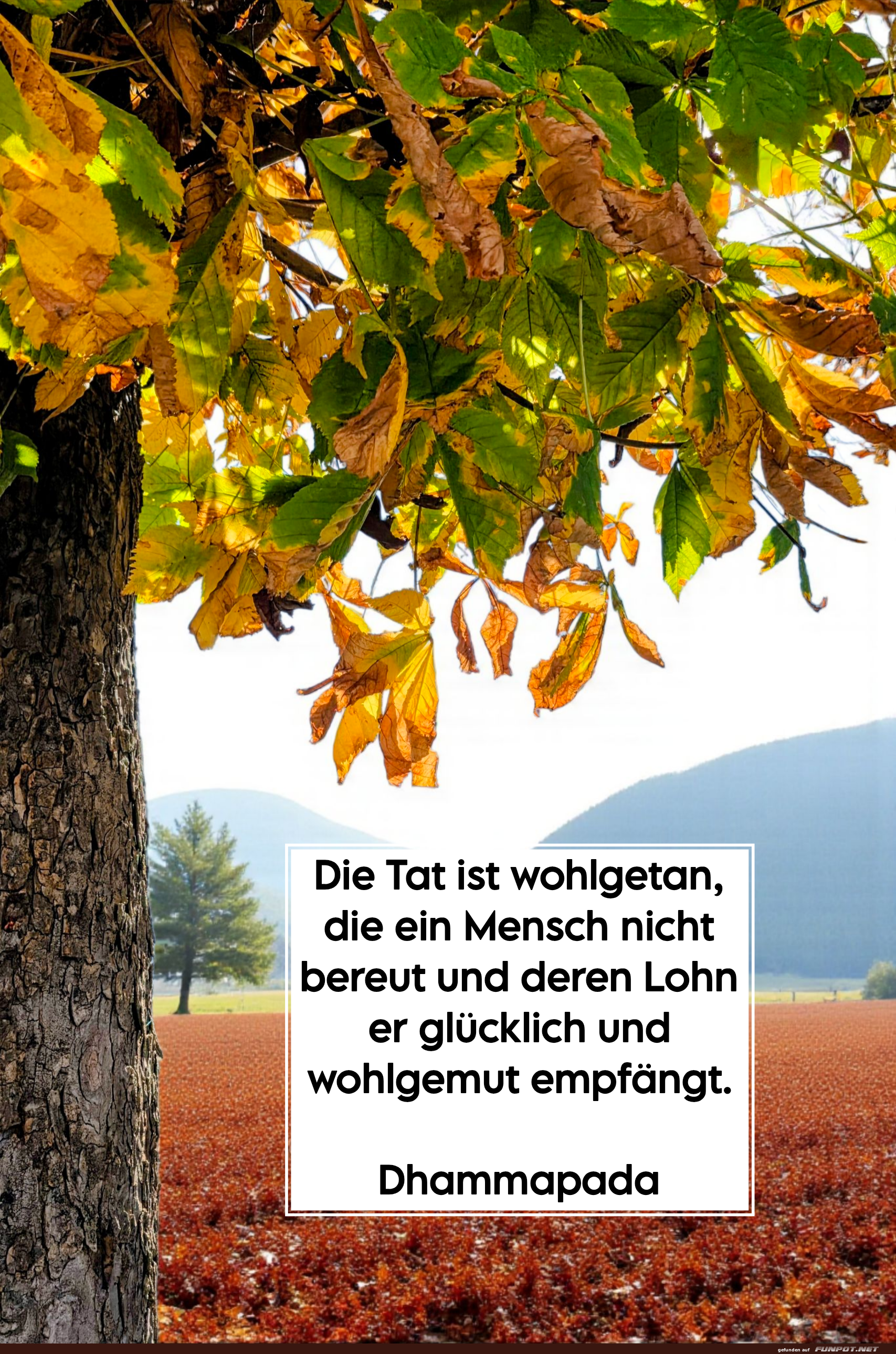 die tat ist wohlgetan