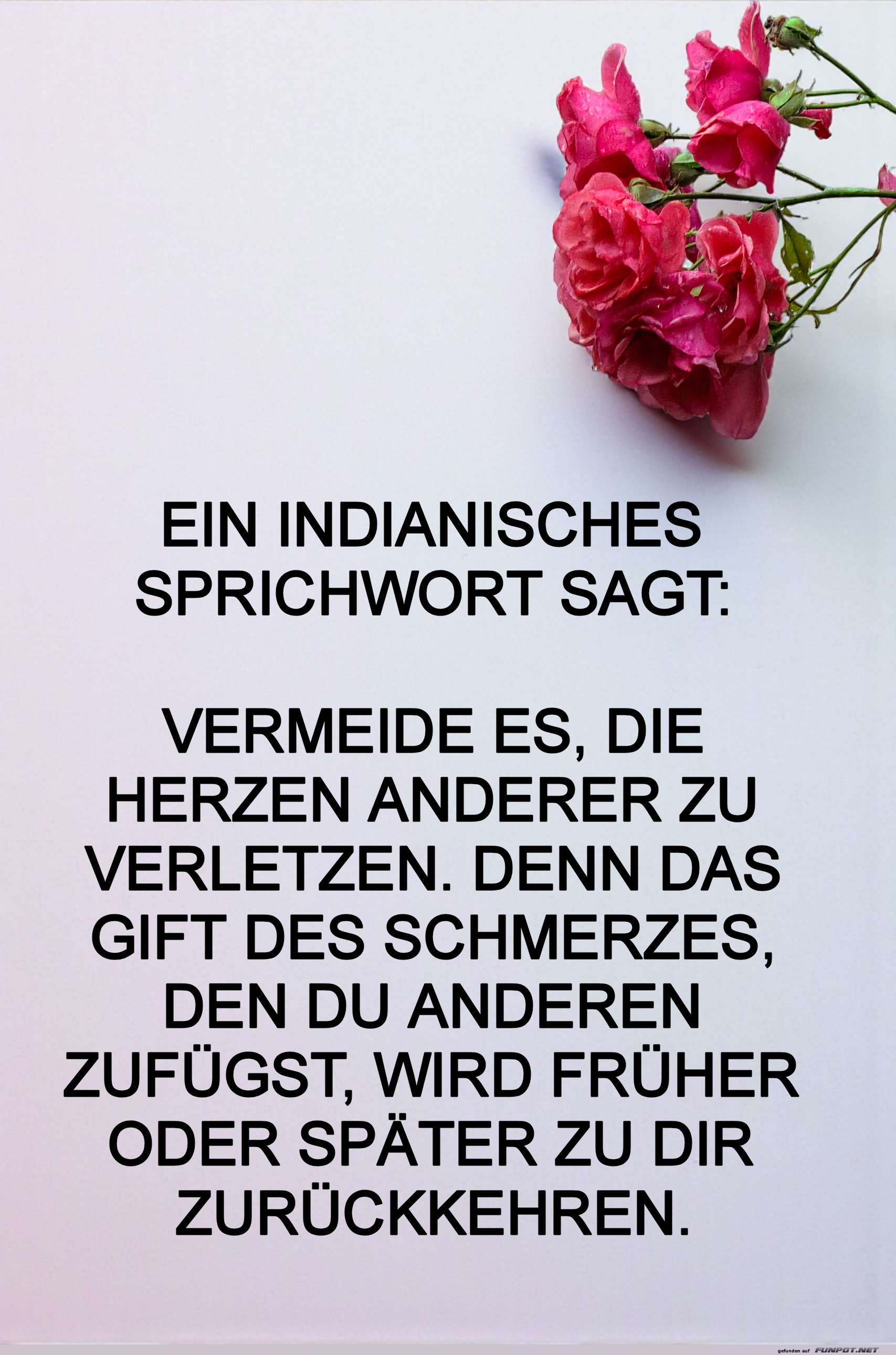 ein indianisches sprichwort
