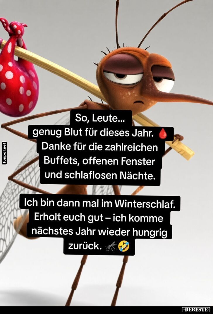 M�ckenurlaub: Bis n�chstes Jahr!