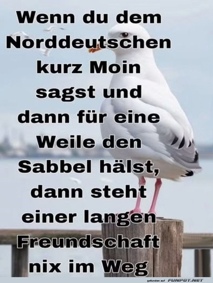 Moin