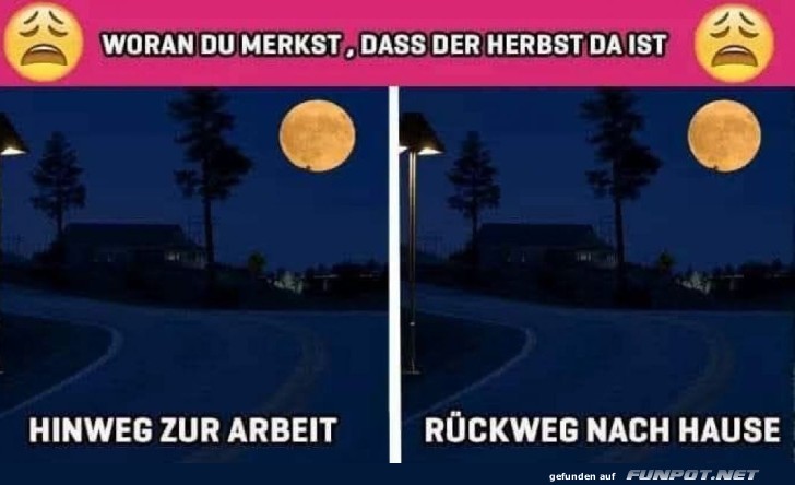 Mond als neuer Arbeitskollege?