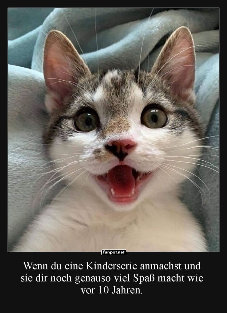 Kätzchen-Nostalgie: Die Comeback-Show! Kätzchen-Nostalgie: Die Comeback-Show!