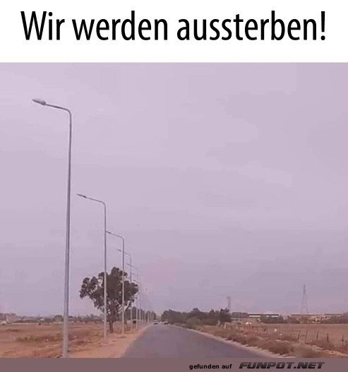 Wir sterben aus