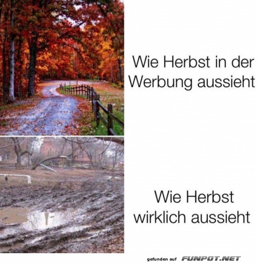 Der Herbst