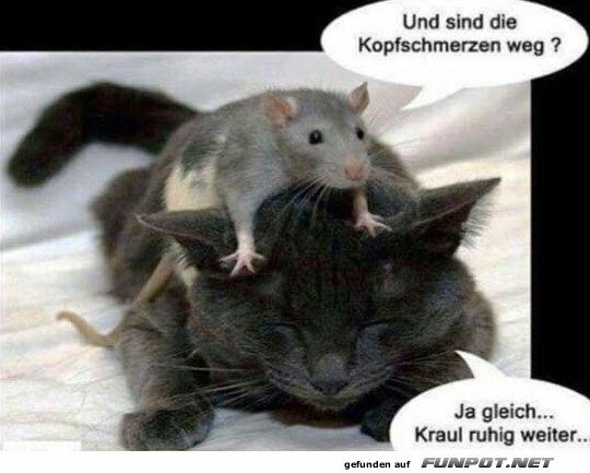 Sind die Kopfschmerzen weg