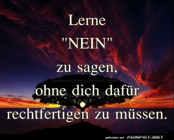 Der k�hne Baum des 'Nein' Sagens