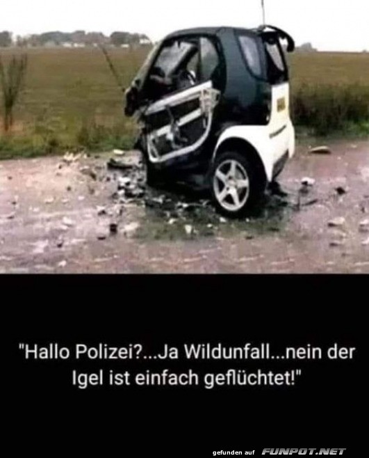 Wenn der Smart den Kürzeren zieht!