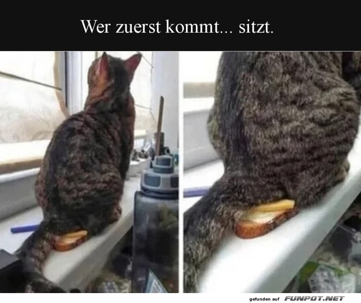 Brot-Sitzplatzreservierung Deluxe