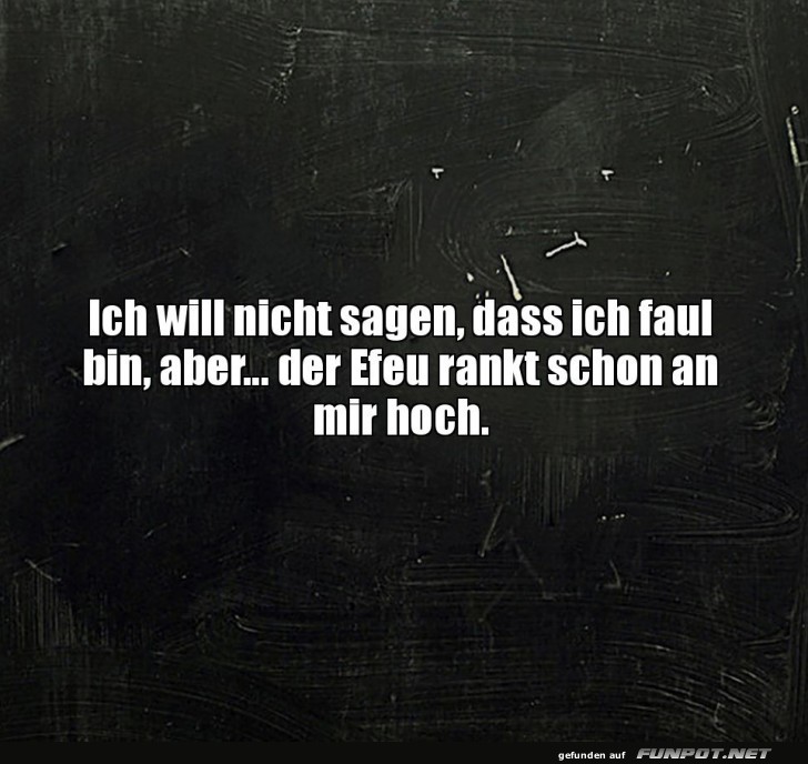 Der Elefanten-Witz des Tages!