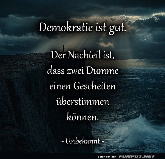 Wenn Demokratie zur Herausforderung wird