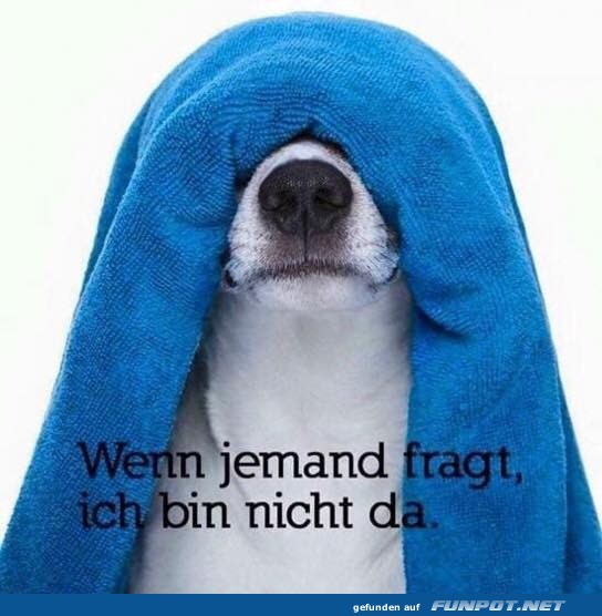Nicht da