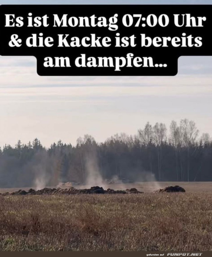 Montagmorgen in der freien Natur