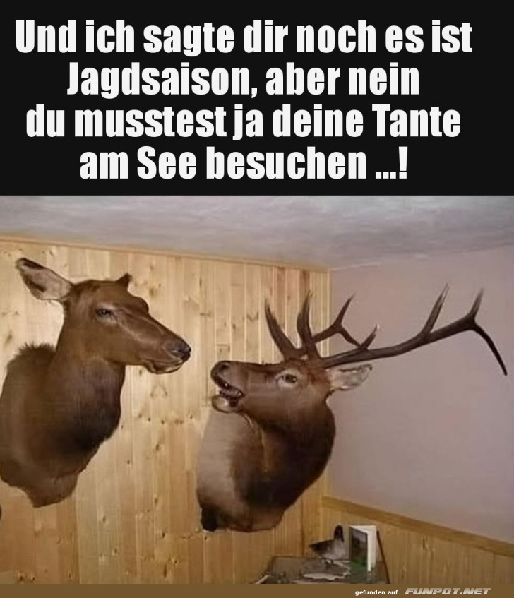 Wenn Besuche beim See schiefgehen