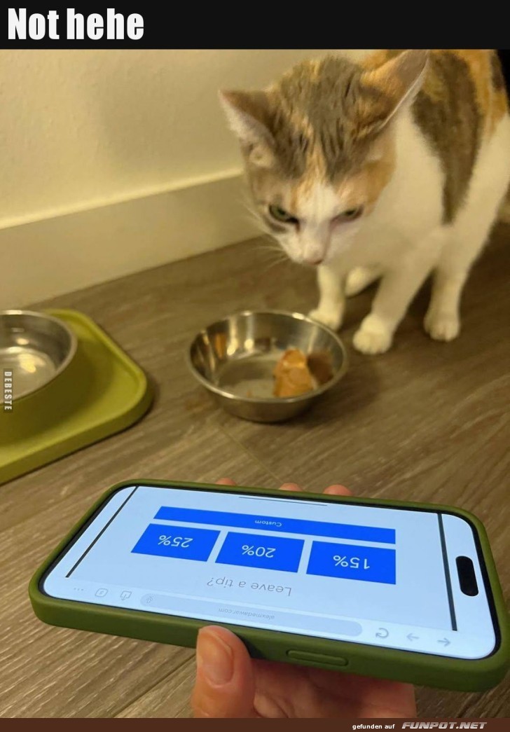 Katze �berdenkt ihre Di�tpl�ne