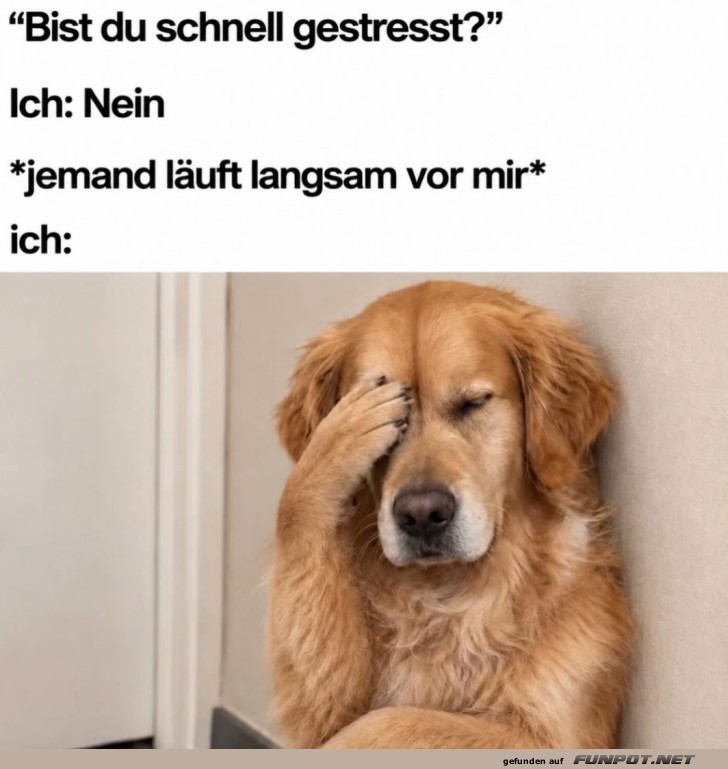 Der Geduldsfaden-Experte in Aktion