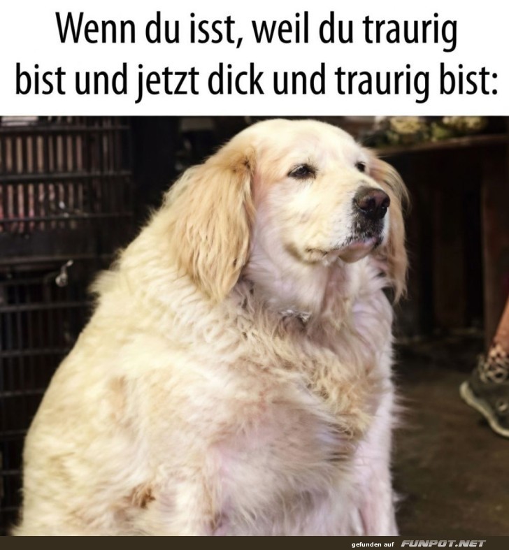 Wenn der Snack-Bauch echt wird!