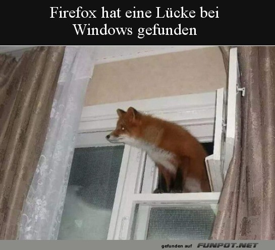 L�cke gefunden
