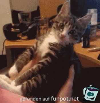 Igitt mein Fell