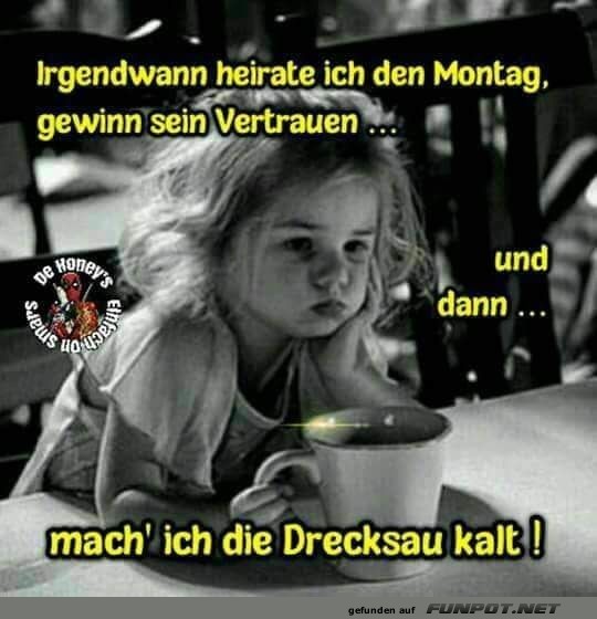 Montagspl�ne einer kleinen Rebellin