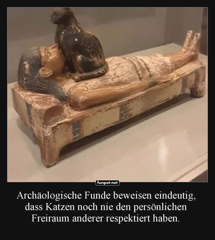 Frühes Beispiel von Katzendominanz entdeckt!