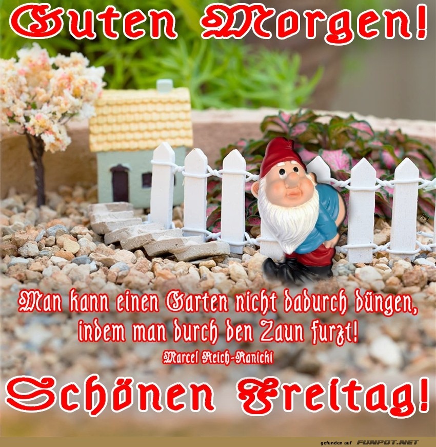 Gartenzwerg im Morgengrauen