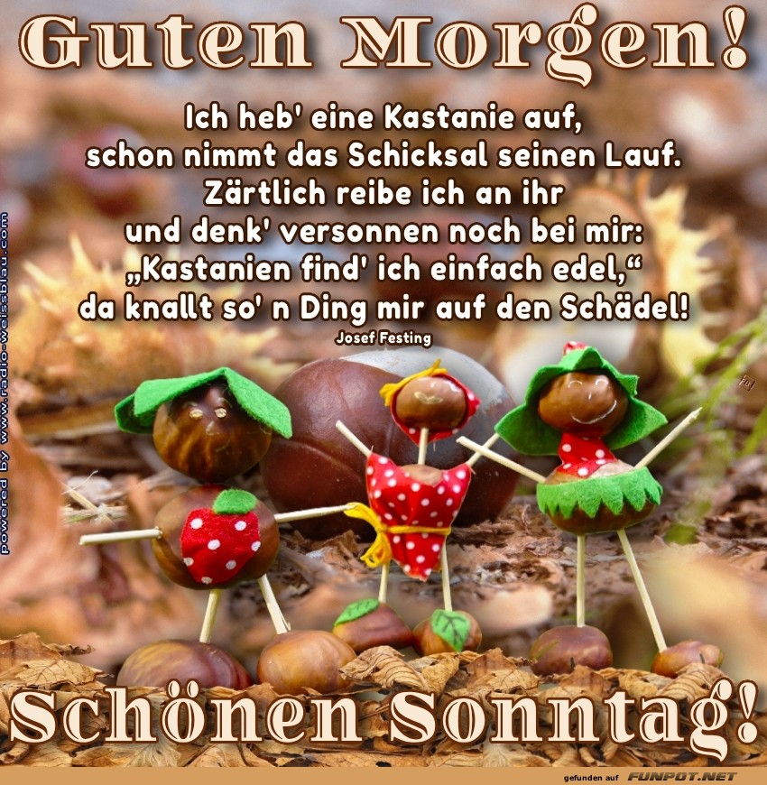 Der Kastanien-Sonntagsschreck