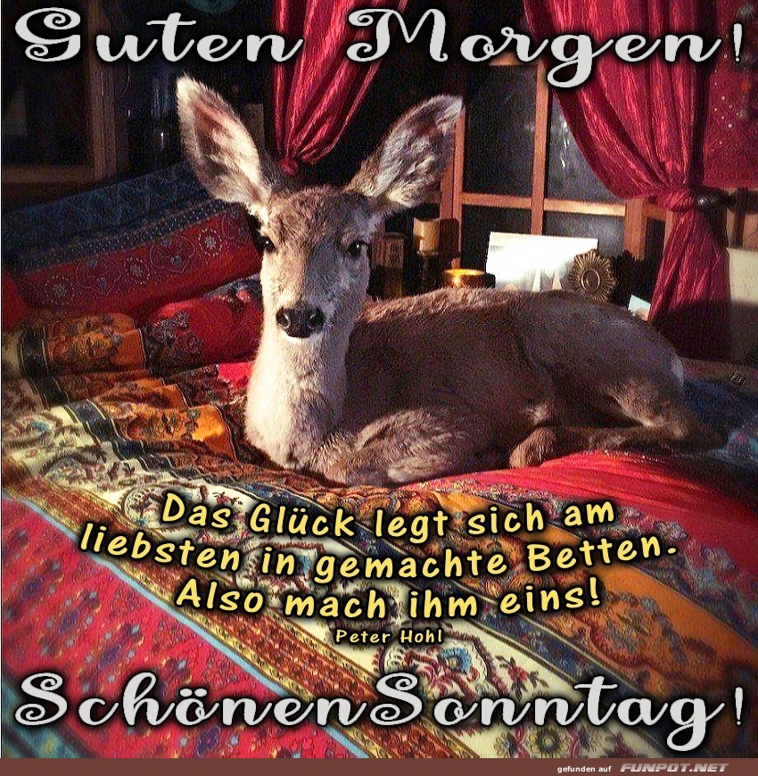 Sonntag