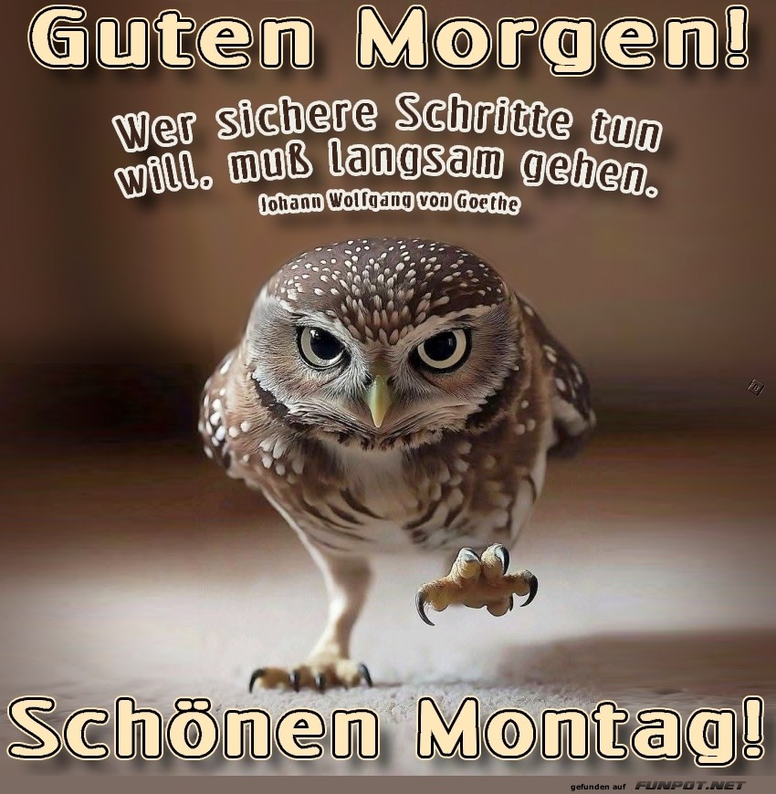 Montag