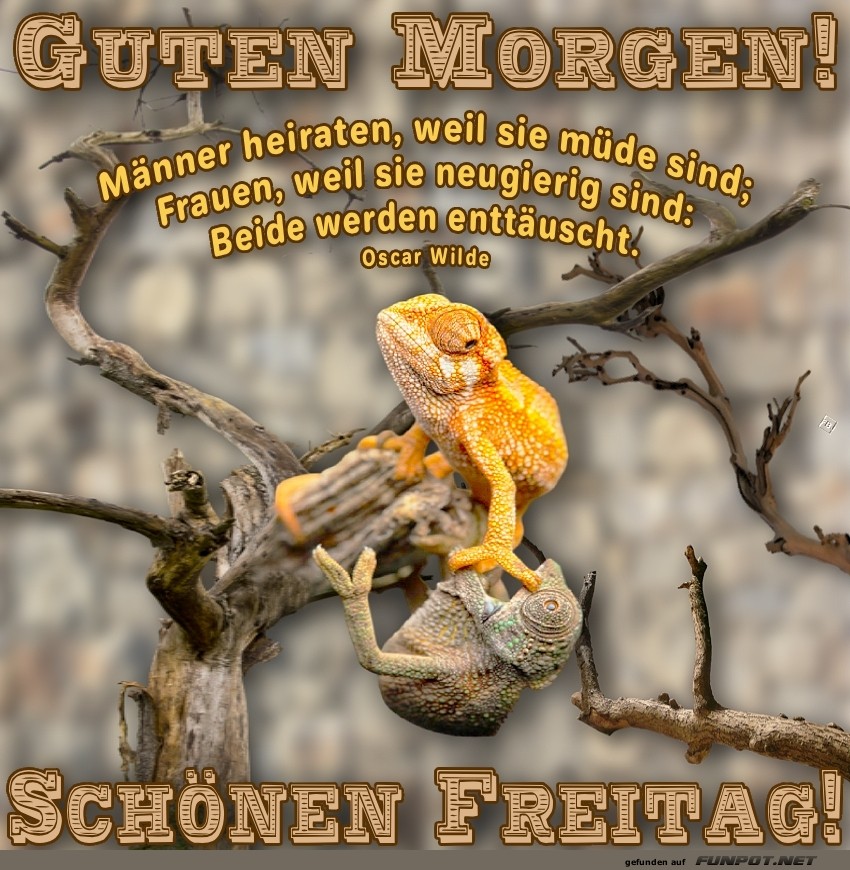 Freitag