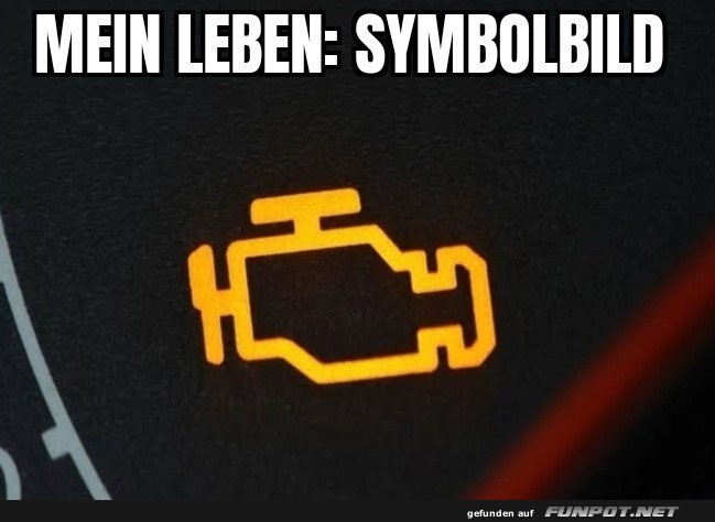 Wenn das Leben st�ndig die Motorkontrollleuchte an hat