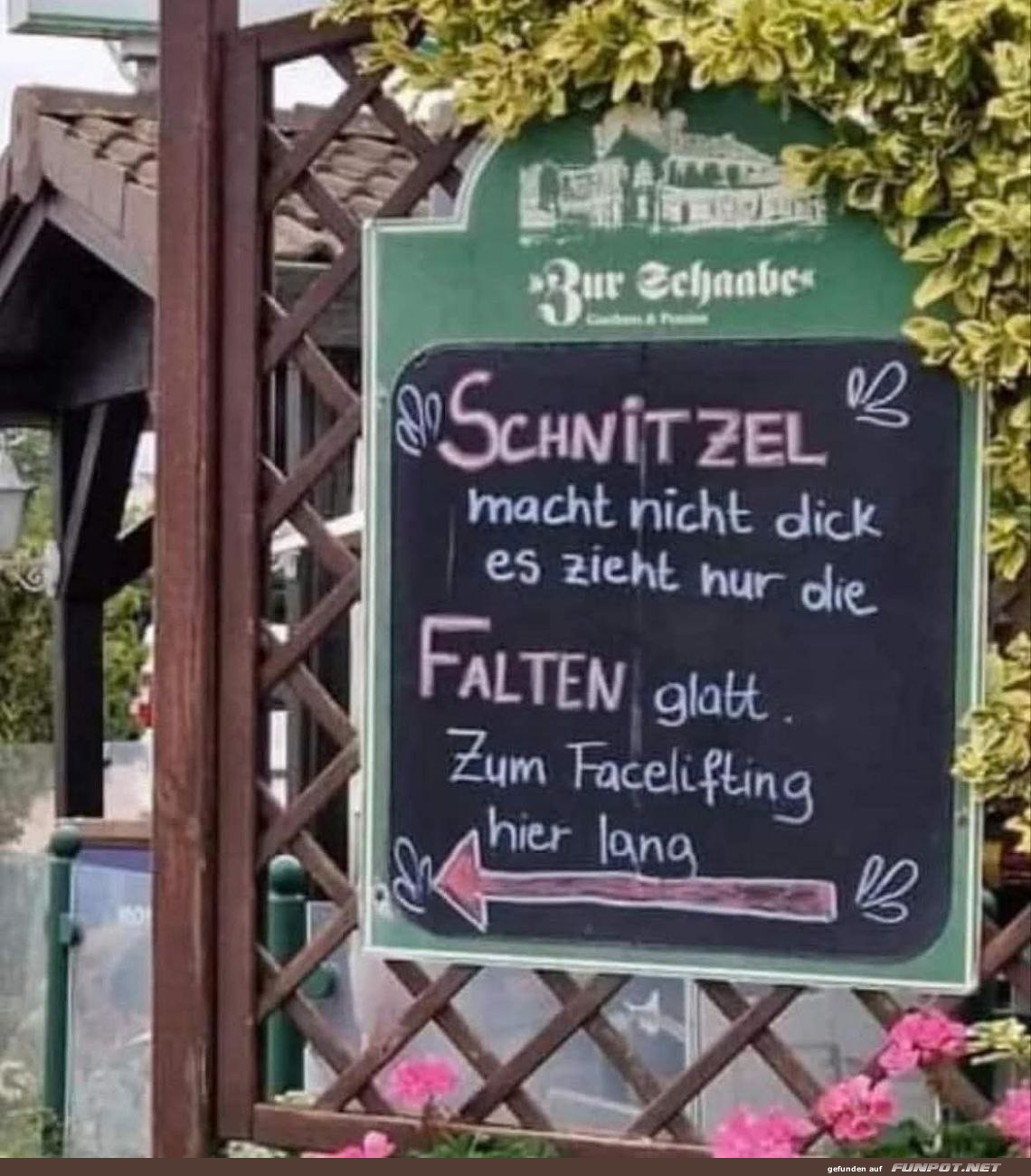 Anti-Aging mit Schnitzel-Schnitz!