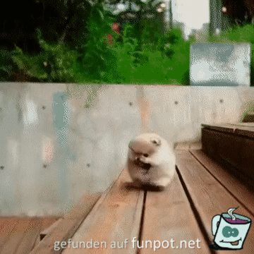 Was f�r ein Wollkn�uel