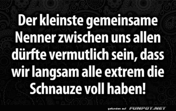 Kleiner Nenner, große Schnauze!