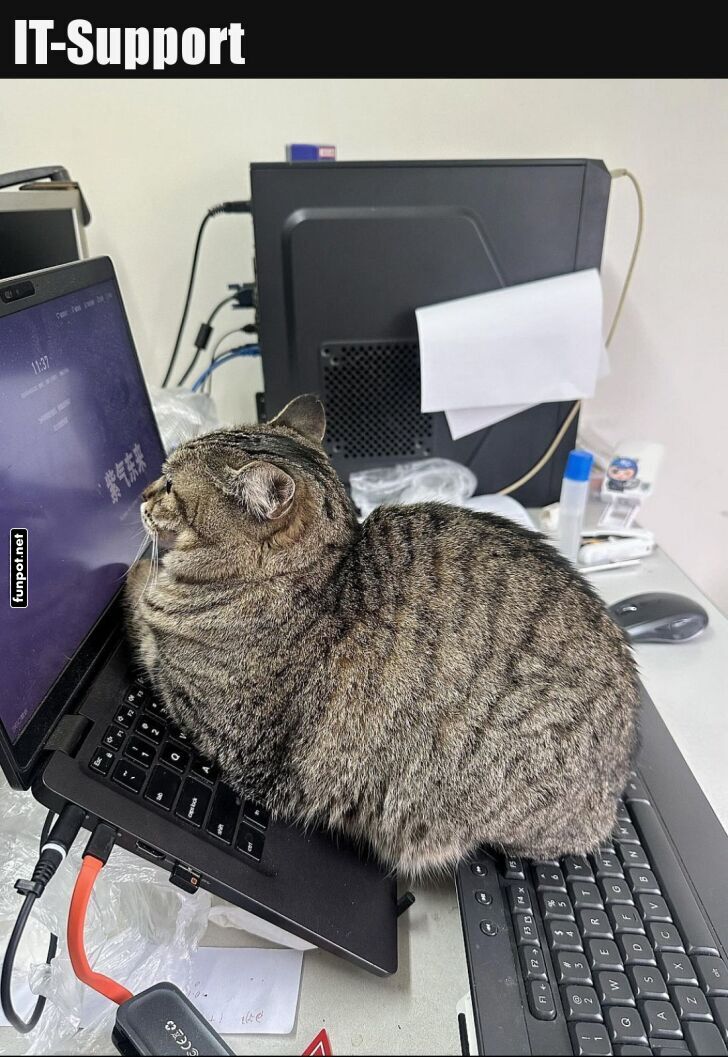 Pelziger IT-Support auf dem n�chsten Level
