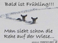 bald ist Fruehling