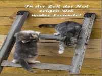 zeit der not